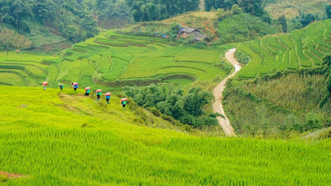 Sapa Fantasea Homestay Exteriér fotografie