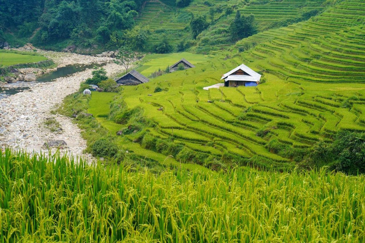 Sapa Fantasea Homestay Exteriér fotografie