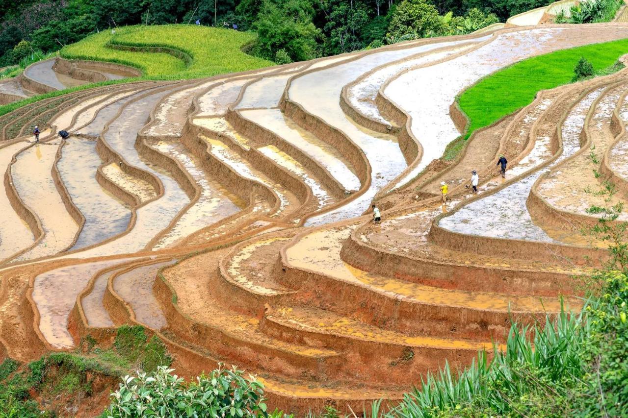 Sapa Fantasea Homestay Exteriér fotografie