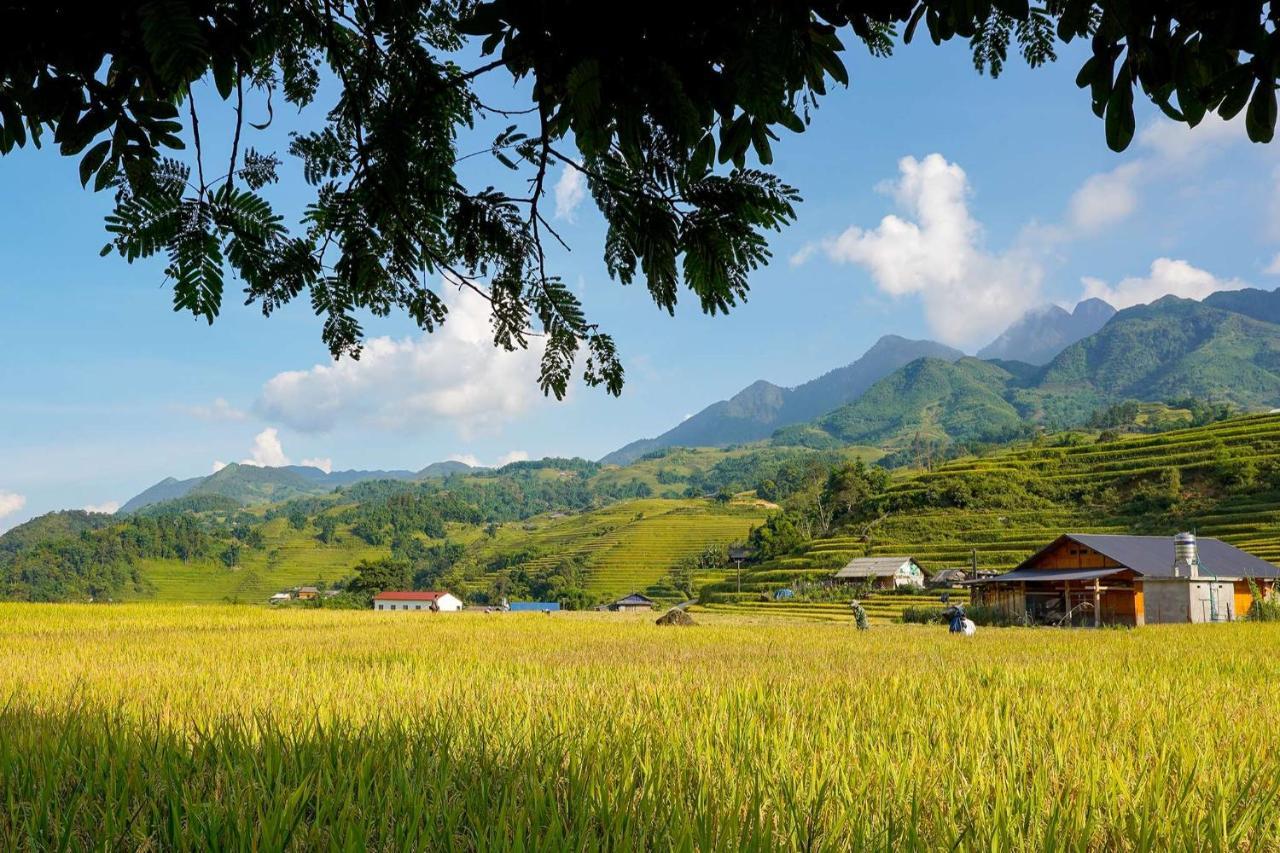 Sapa Fantasea Homestay Exteriér fotografie